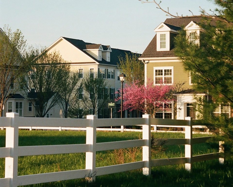 Suburban neighborhood of homes with a white fence and flowering spring trees