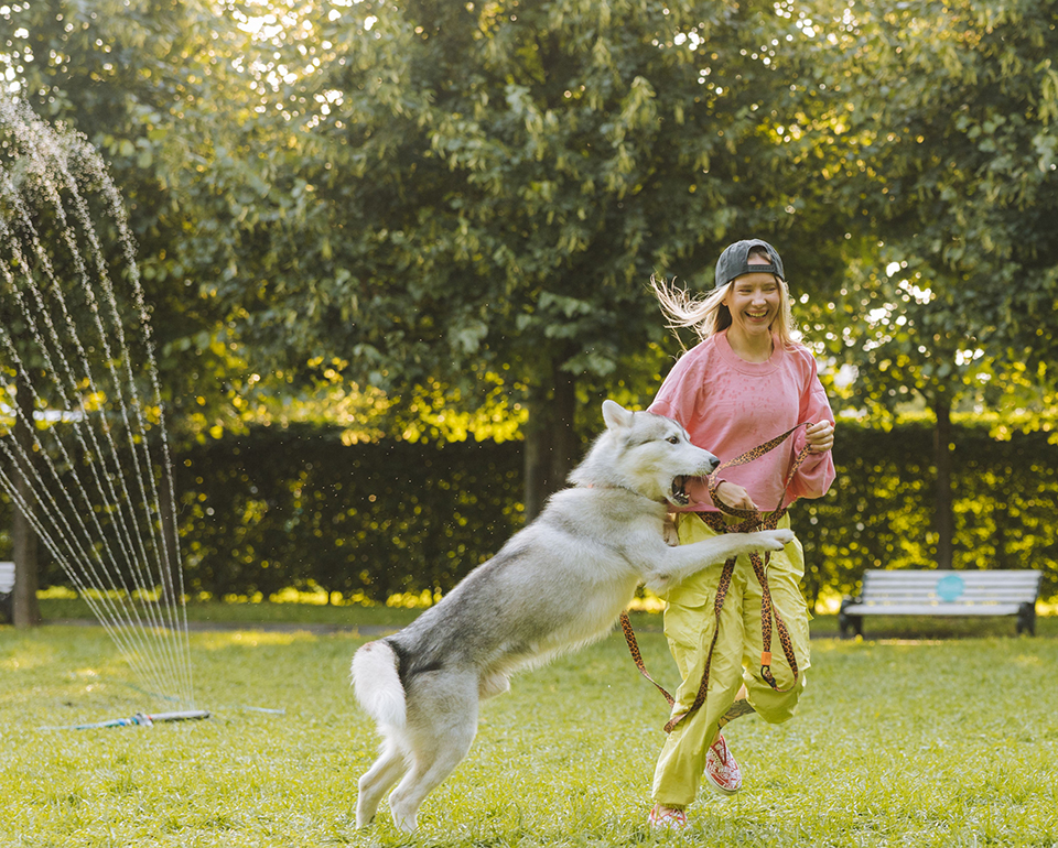 Woman running across the lawn with her husky as a sprinkler runs nearby